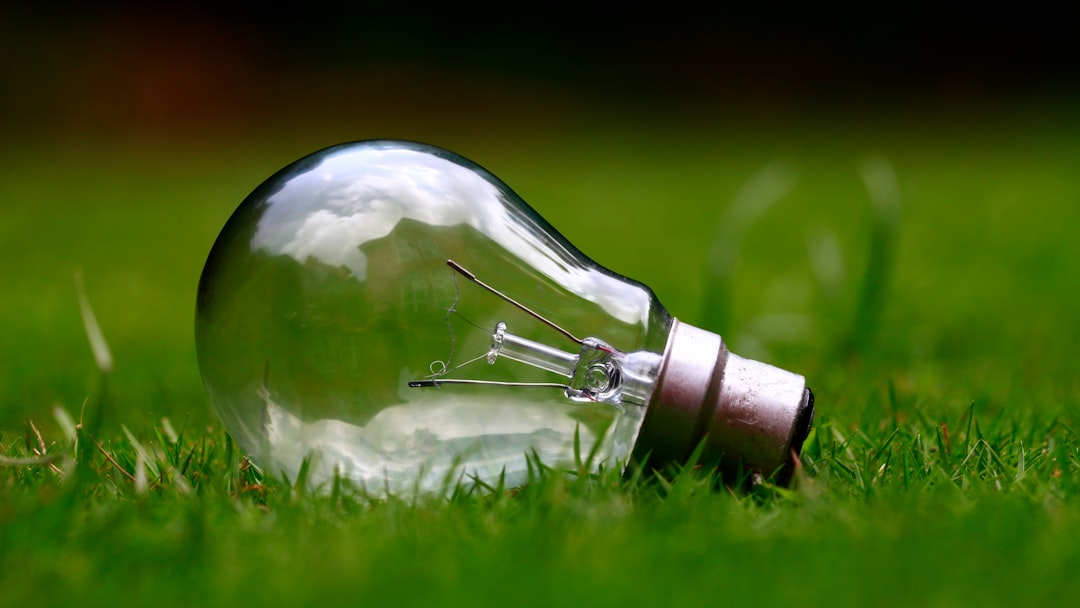 Energy Conservation at Home: Simple Steps for a Sustainable Lifestyle | Tamara Sustainable Living