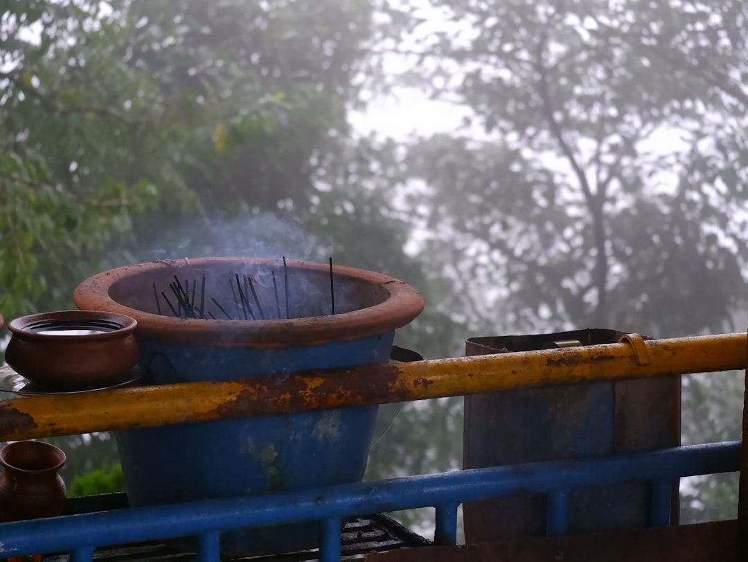 A rain barrel collecting water with a lush garden in the background.
