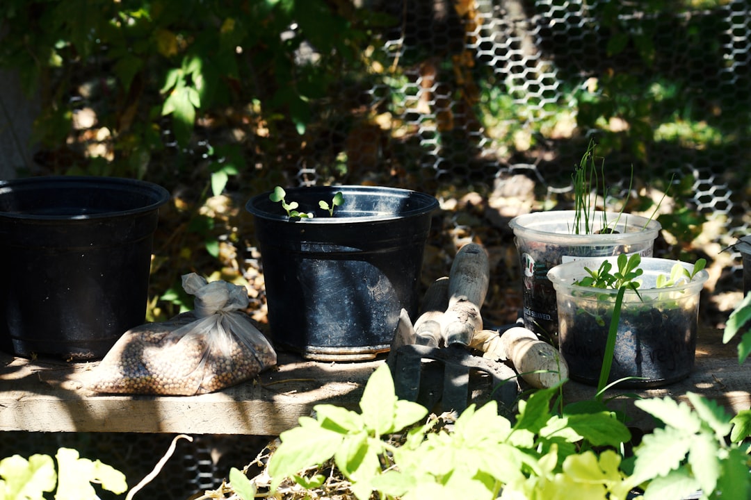 A person composting food scraps in a backyard compost bin.